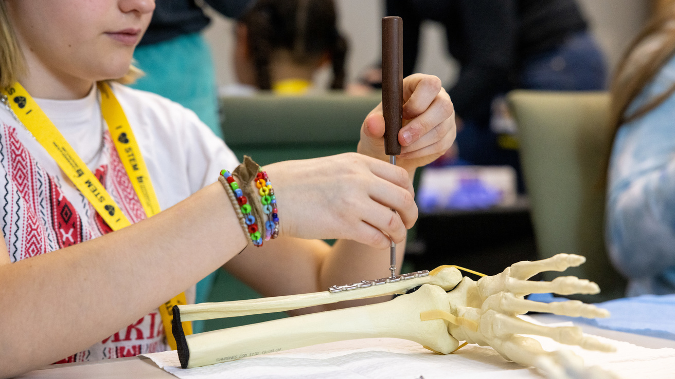 A young girl engages in a STEM activity using a model of the bones in a human arm.